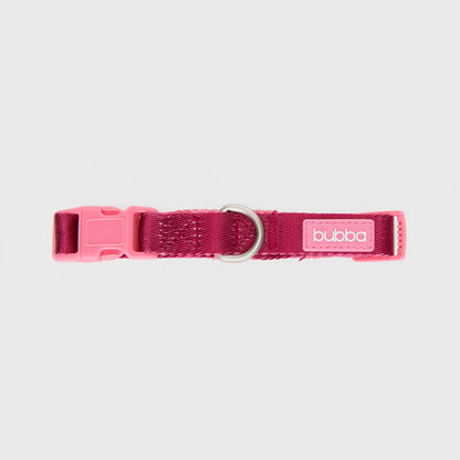 COLLAR PETS COLLECTION